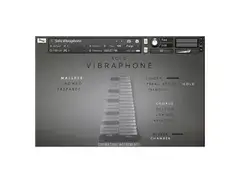 Cinematique Instruments Solo Vibraphone main image