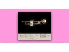 Wavesfactory Muted Trumpet Harmon main image