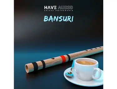 Have Audio Bansuri Bundle