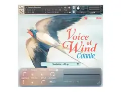 Soundiron Voice of Wind: Connie main image