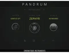 Cinematique Instruments Pandrum main image