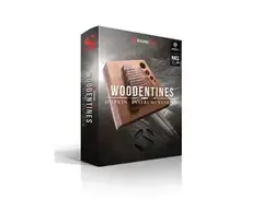 Soundiron Hopkin Instrumentarium: Woodentines main image