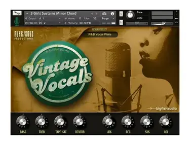Big Fish Audio Vintage Vocals
