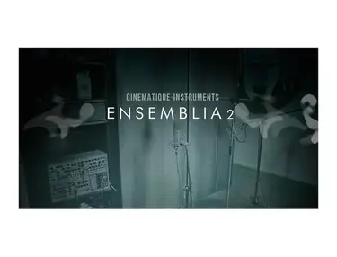 Cinematique Instruments Ensemblia Percussive