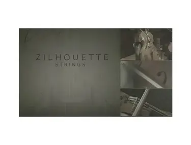 Cinematique Instruments Zilhouette Strings