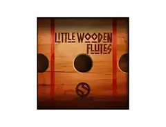 Soundiron Little Wooden Flutes main image