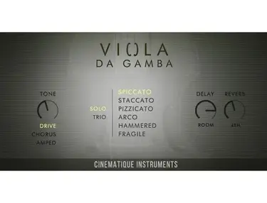 Cinematique Instruments Viola da Gamba
