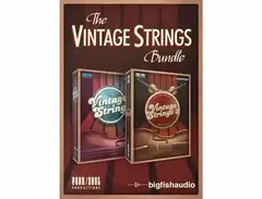 Big Fish Audio Vintage Strings Bundle