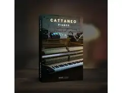 Have Audio Cattaneo Pianos Bundle main image
