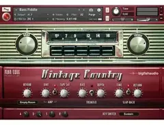 Big Fish Audio Vintage Country