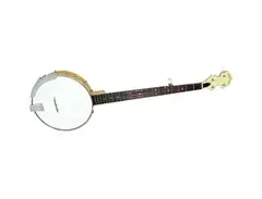 Gold Tone CC-100