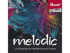 Beat MPC Expansion: Melodic main image