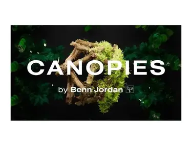Lunacy Canopies (CUBE Expansion)
