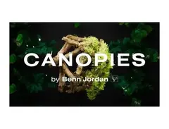 Lunacy Canopies (CUBE Expansion) main image