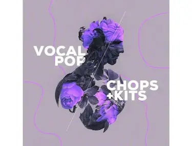 Audiomodern Loopmix Expansion: VOCAL POP