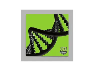Future Audio Workshop SubLab XL Sound Pack: Hits DNA