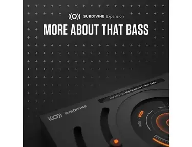Diginoiz Subdivine Expansion: More About That Bass
