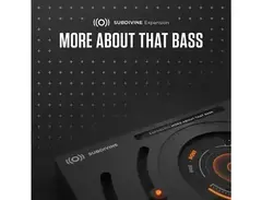 Diginoiz Subdivine Expansion: More About That Bass main image