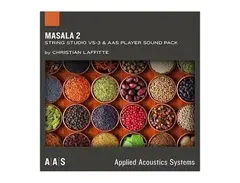 Applied Acoustics Systems Masala 2 String Studio VS-3 Sound Bank main image