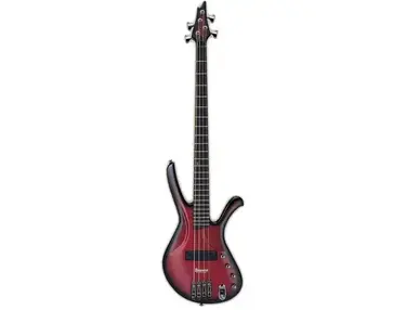 Ibanez Ergodyne EDA900