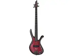 Ibanez Ergodyne EDA900 main image