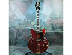 Epiphone Nashville USA Collector's Sheraton