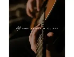 Spitfire Audio MG Soft Acoustic Guitar Plug-in