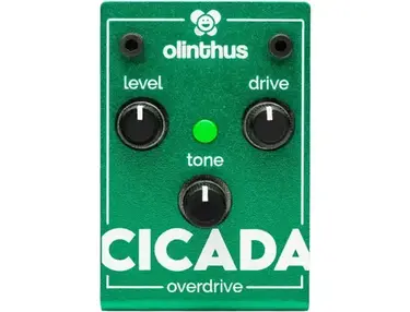 Olinthus Cicada Overdrive