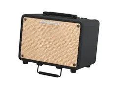 Ibanez T30 30W Acoustic Amp main image