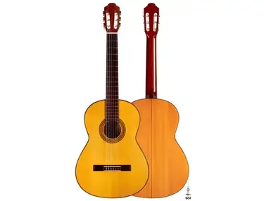 Marlon Navarro Alvarez Flamenco Blanca