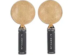 Pinnacle Microphones Fat Top Ribbon Microphone Stereo Pair main image