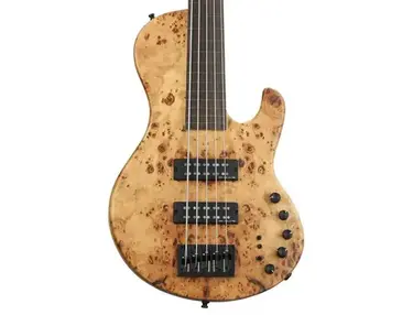 Sire USA Marcus Miller F10 Fretless 5-string Bass Guitar