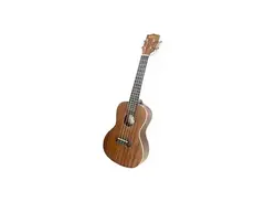 Kala Solid Mahogany Pocket Ukulele main image