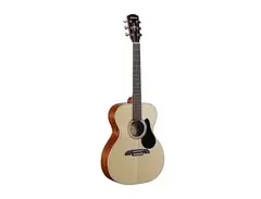 Alvarez RF26 Regent OM/Folk Acoustic Natural main image