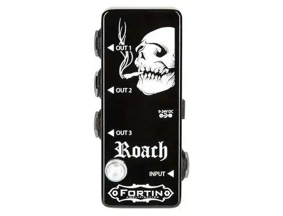 Fortin Roach