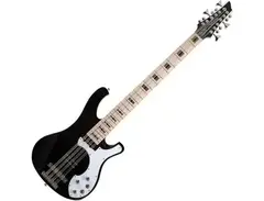 Schecter Stargazer 12 12-string Bass Guitar