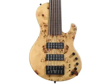 Sire USA Marcus Miller F10 Fretless 6-string Bass Guitar