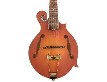 Gold Tone F-10 10-string F-Style Acoustic-electric Mandolin
