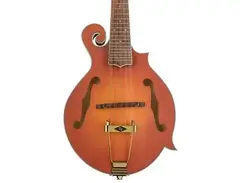 Gold Tone F-10 10-string F-Style Acoustic-electric Mandolin