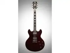 D'Angelico Premier DC Semi-Hollow Double Cutaway with Stop-Bar Tailpiece, No F Holes main image
