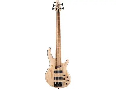Cort Artisan B5 Element