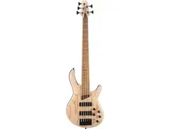 Cort Artisan B5 Element