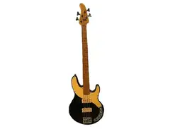 Robin Guitars Freedom II 4-String Bass