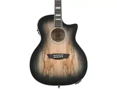 Washburn Deep Forest Spalted Maple Acoustic-electric Guitar