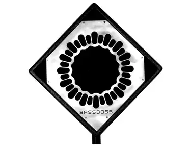 BASSBOSS DiaMon DJ112 Powered Monitor