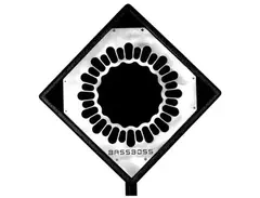 BASSBOSS DiaMon DJ112 Powered Monitor