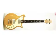 Guyatone LG-1000 Standard main image