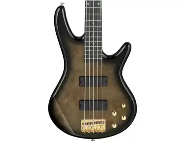 Ibanez Gio GSR205PC 5-string Bass Guitar