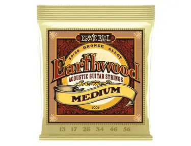 Ernie Ball Earthwood 80/20 Bronze Acoustic Guitar Strings (13-56)