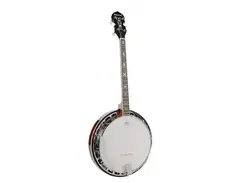Richwood RMB-904 Tenor Banjo main image
